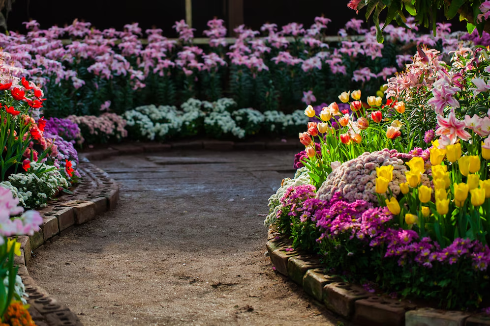 Timeless Planting Palettes That Define Prestigious Front Gardens